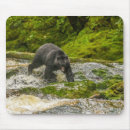Search for cathy mousepads Black bear