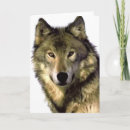 Search for grey wolf cards Animals