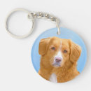 Search for scotia key rings Toller