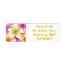 Search for pink plumeria return address labels Flower