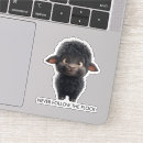 Search for sheep stickers Typography