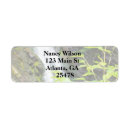 Search for waterfall return address labels Photography