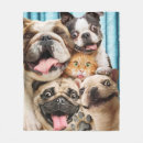 Search for photo with animals blankets Funny