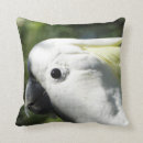 Search for australian bird cushions Parrot