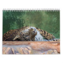 Search for breeds calendars Animals