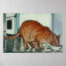 Search for tom cat Ginger