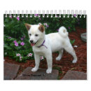 Search for puppy calendars Pets