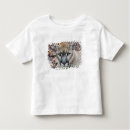 Search for mountain lion tshirts Cougar