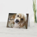 Search for acknowledgement cards Appreciation