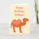 Search for camel cards Orange