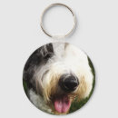Search for herding round key rings Sheepdog