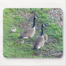 Search for canadian mousepads Birds