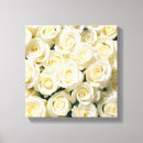 Search for white rose art Nature