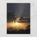 Search for sunrays postcards Tree