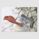 Search for cardinal tissue paper Bird