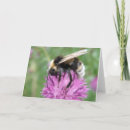 Search for bee photo cards Flowers