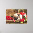 Search for pug dogs canvas prints Canine
