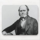 Search for darwin evolution mousepads English