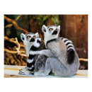 Search for loveable posters Animals