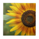 Search for sunflower tiles Garden