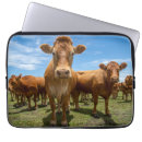 Search for agricultural electronics Livestock