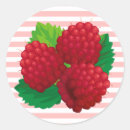 Search for raspberry fruit stickers Green