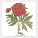 Search for perennials stickers Botanical
