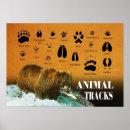 Search for animal tracks posters Paw