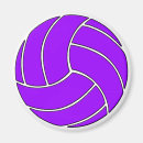 Search for volleyball player magnets Coach