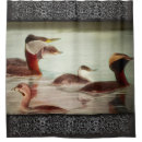 Search for birds shower curtains Water
