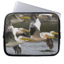 Search for ie cases Environment