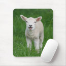 Search for sheep mousepads Lamb