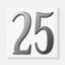 Search for twenty five magnets Silver