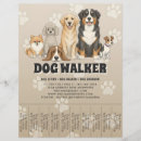 Search for dog sitting promotion flyers Dog walking business