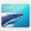 Search for jaws electronics Wildlife