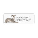 Search for greyhound return address labels Animal