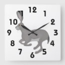 Search for jack rabbit Animals