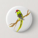 Search for parrots badges Pet