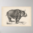 Search for rhino art Animals