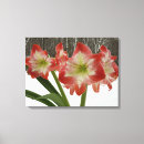 Search for winter holiday canvas prints White