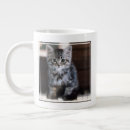 Search for cutest mugs Kitten