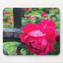 Search for gates electronics Garden