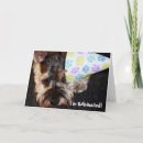 Search for miniature schnauzer dog cards Animal