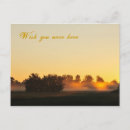 Search for were postcards Sun