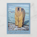 Search for first birthday postcards Bear