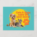 Search for animated postcards Pets