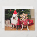 Search for boston terrier christmas cards Horizontal