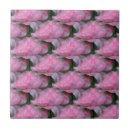 Search for pink floral tiles Rose
