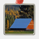 Search for field christmas tree decorations Autumn