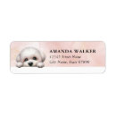 Search for bichon return address labels Dog